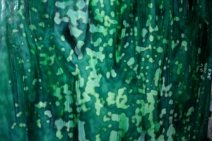 close-up of part I will use for shell