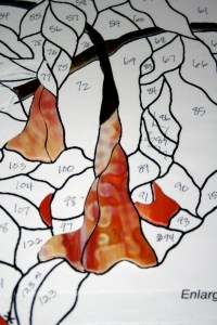 in progress gabriel's trumpet flower