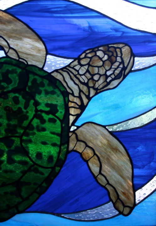 turtle detail