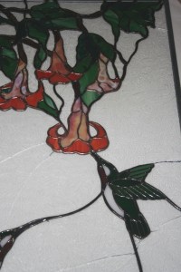 hummingbird and flower