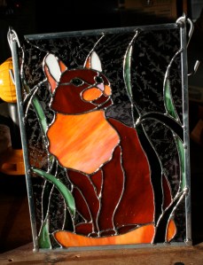 lesa's cat color difference