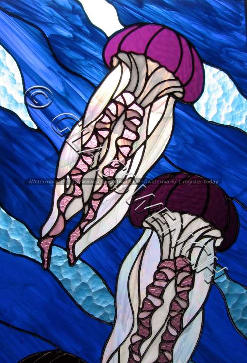 jellies brightest lightwtmk