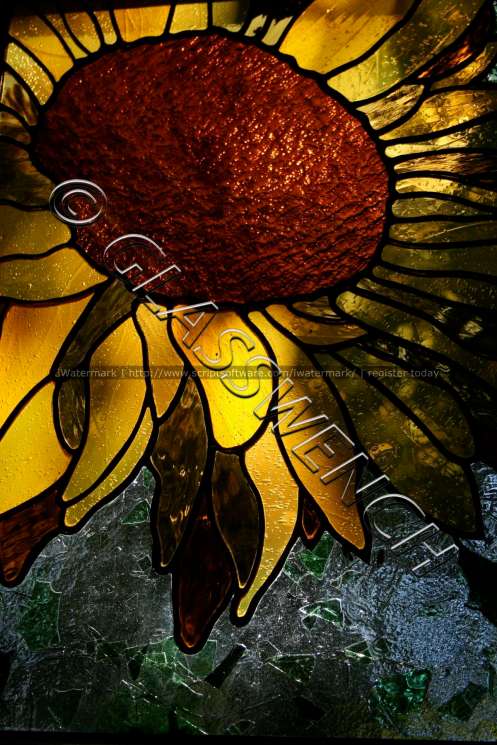 sunflower cool effectswtmk